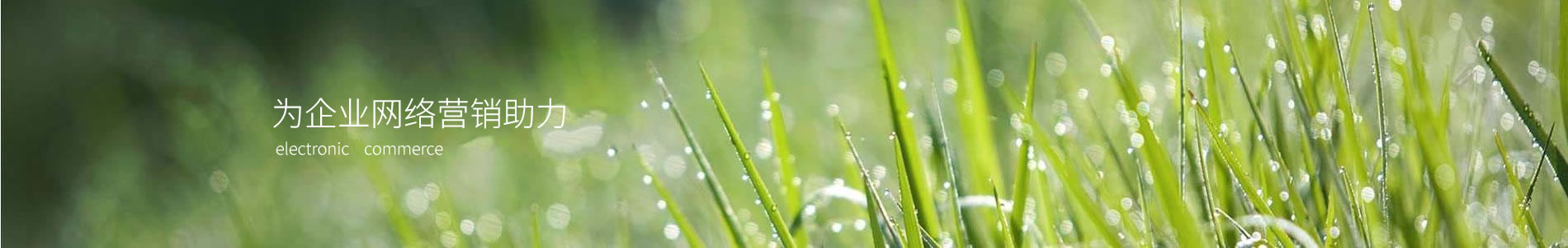 ɶζҲ޹˾